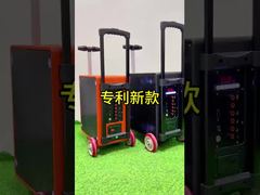 DD1010