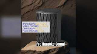 Suara Pro Speaker Karaoke 100w